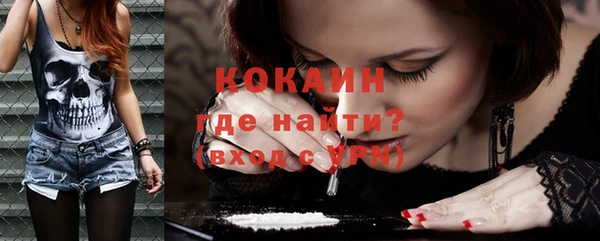 гашик Аркадак