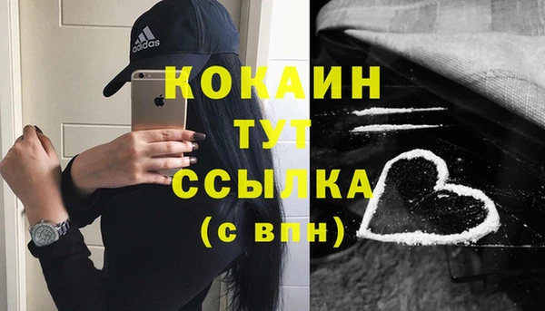 гашик Аркадак