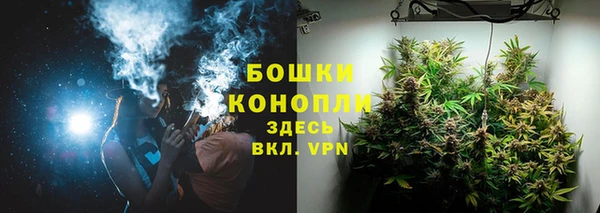 гашик Аркадак